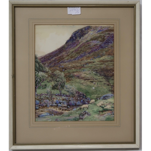 1003 - JOHN HAMILTON GLASS Sheep grazing, signed, oil on board, 44 x 29cm and two others (3)... 