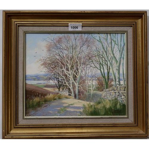 1006 - DONALD SHEARER Dornoch Firth, signed,, oil on canvas, 25 x 29cm