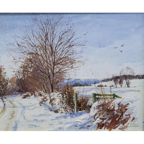 1007 - DONALD SHEARER Winter in Easter Ross, signed, oil on board, 25 x 29cm... 