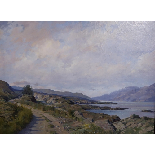 1016 - DONALD M SHEARER Coastal road, signed, oil on canvas, 59 x 79cm