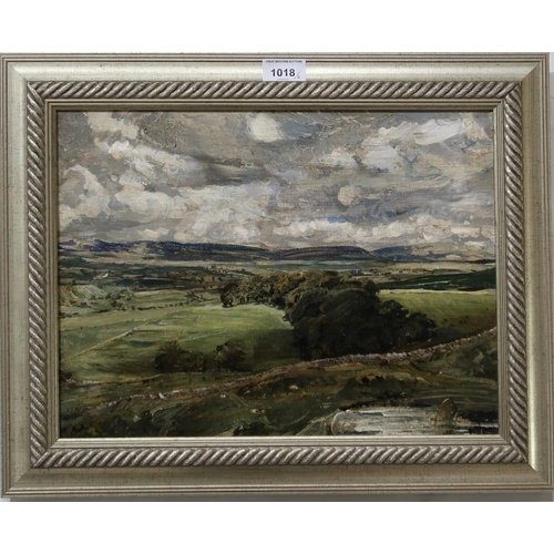 1018 - BRITISH SCHOOL Ingleborough, Yorkshire, oil on board, 30 x 40cm and another (2)... 