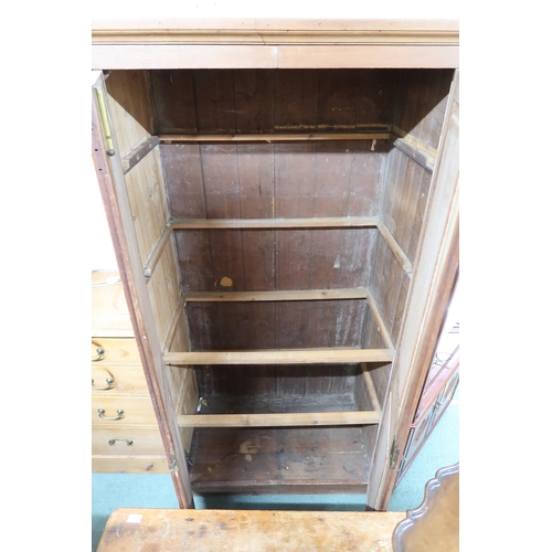 141 - A 20th century pine two door cabinet with panel doors, 195cm high x 102cm wide x 59cm deep