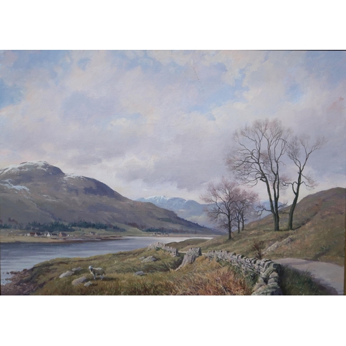 982 - DONALD SHEARER Near Dornie, Ross shire, signed, oilon canvas, 55 x 75cm