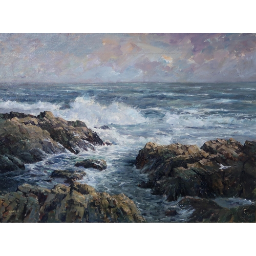 983 - DONALD SHEARER Coastline, signed, oil on canvas, 59 x 79cm