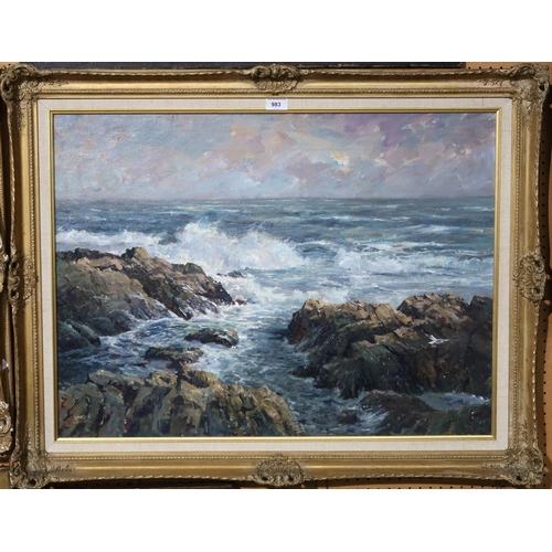 983 - DONALD SHEARER Coastline, signed, oil on canvas, 59 x 79cm