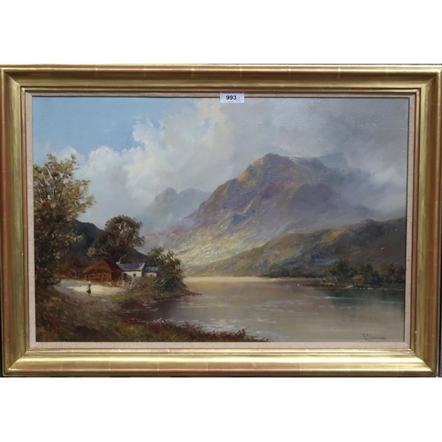 993 - FRANCIS E JAMIESON Highland loch and another, signed, oil on canvas, 40 x 60cm  (2)... 