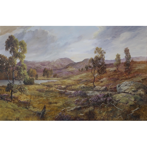 931 - S.A.WEBBER LANDSCAPEOil on board, signed, 50 x 74cm