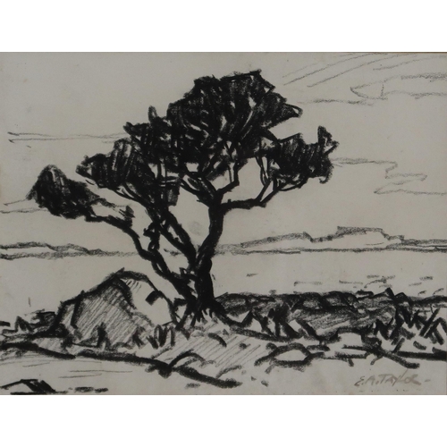 976 - ERNEST ARCHIBALD TAYLOR (SCOTTISH 1874-1951)A TREECharcoal on paper, signed lower right, 15.5 x 20cm... 