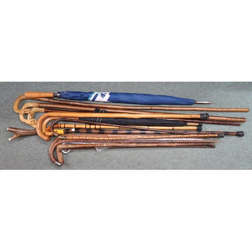 14 - A large mixed lot of assorted walking sticks and umbrellas some with horn and antler handles