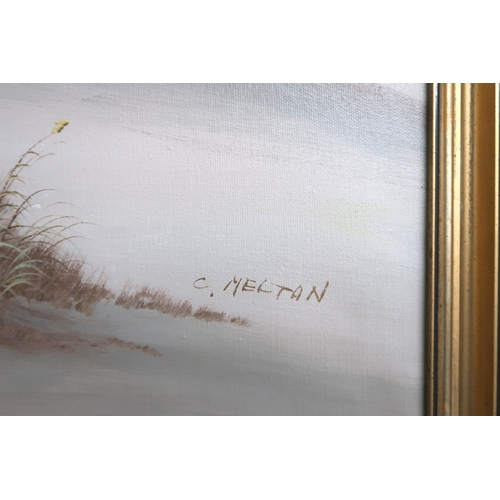 18 - A gilt framed oil of canvas of a sea shore signed, C Meltan