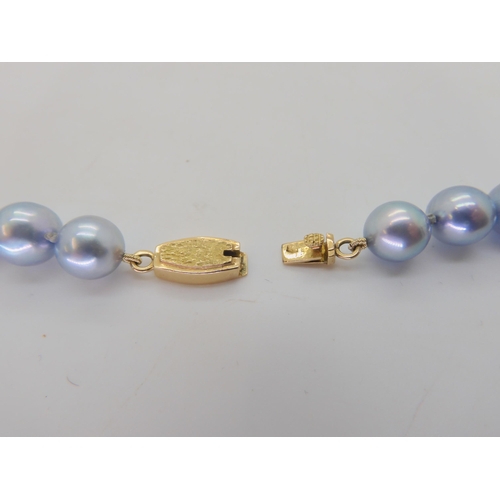 577 - A string of pale blue good quality pearls, each pearl approx 8.1mm with a yellow metal clasp, l... 