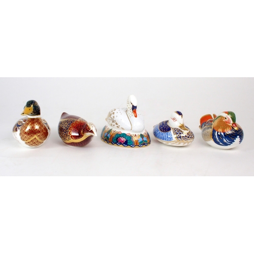 2233 - FIVE ROYAL CROWN DERBY PAPERWEIGHTS including Swan, Mandarin Duck, Mallard Duck, Coot and duck, all ... 