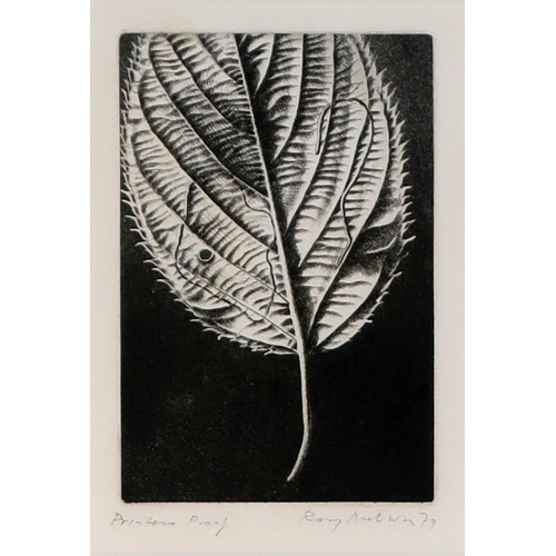 2987 - RORY MCEWEN (SCOTTISH 1932-1982)LEAFAquatint, signed in pencil, dated 79 and inscribed Printer's Pro... 