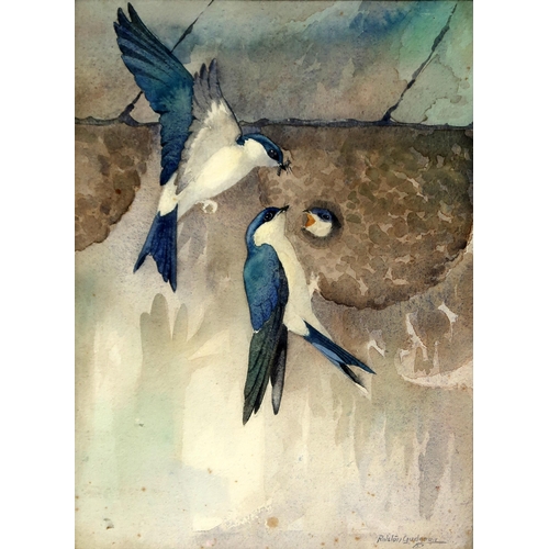 818 - RALSTON GUDGEON RSW Swallows, signed, watercolour, 38 x 28cm