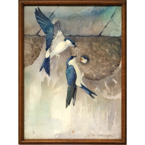 818 - RALSTON GUDGEON RSW Swallows, signed, watercolour, 38 x 28cm