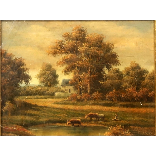 822 - BRITISH SCHOOL Cattle grazing beside a stream, oil on board, 19 x 24cm