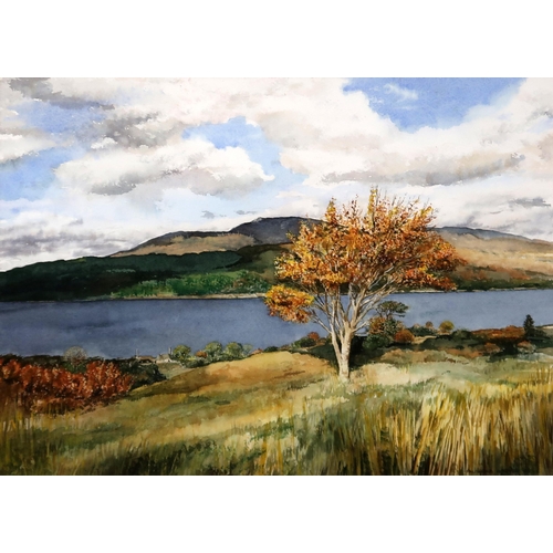 832 - FALCONER HOUSTON Tree Loch Sunart, signed, watercolour, 34 x 48cm, and another (2)... 