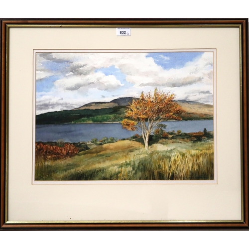 832 - FALCONER HOUSTON Tree Loch Sunart, signed, watercolour, 34 x 48cm, and another (2)... 