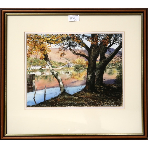 832 - FALCONER HOUSTON Tree Loch Sunart, signed, watercolour, 34 x 48cm, and another (2)... 