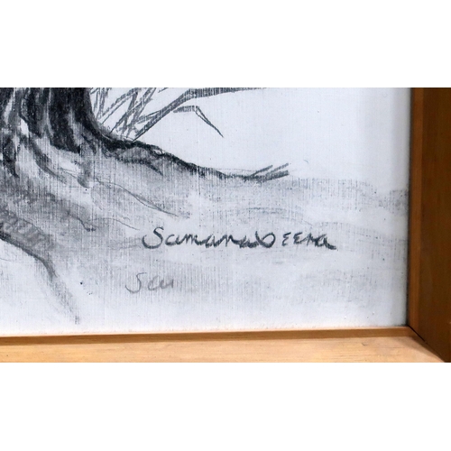 857 - SAMARA VEERA FALCONCharcoal, signed lower right, 59 x 39cmTogether with a similar by the same hand, ... 