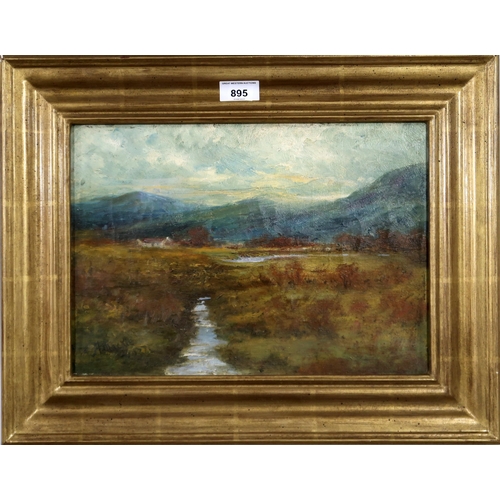 895 - SCOTTISH CONTEMPORARY HIGHLAND VIEWOil on canvas, signed lower left, 24.5 x 34.5 cm... 