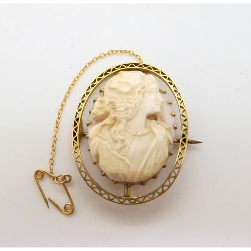 658 - A pink conch shell cameo of a maiden, in a 9ct brooch mount, approx 4cm x 3.2cm, weight 13gms