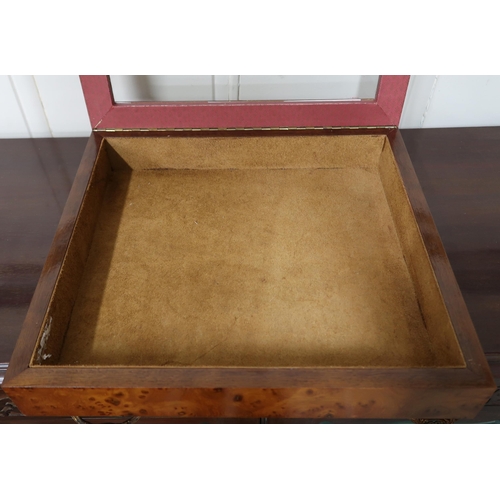 169 - A 20th century birds eye maple veneered countertop bijouterie case, 6cm high x 35cm wide x 33cm deep