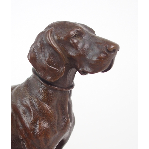2156 - OSKAR PFLUG (GERMAN 1858-1937) A bronze of a standing Pointer dog, incised to base O. Pflug *** 01, ... 