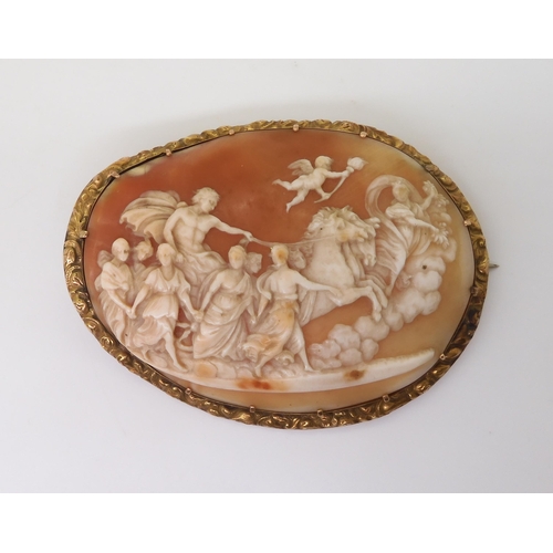 2715 - A LARGE CLASSICAL THEMED CAMEOthe well carved shell cameo depicting Apollo in his horse drawn chario... 