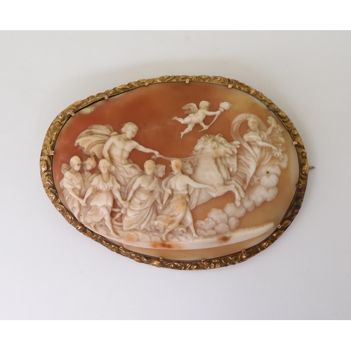 2715 - A LARGE CLASSICAL THEMED CAMEOthe well carved shell cameo depicting Apollo in his horse drawn chario... 