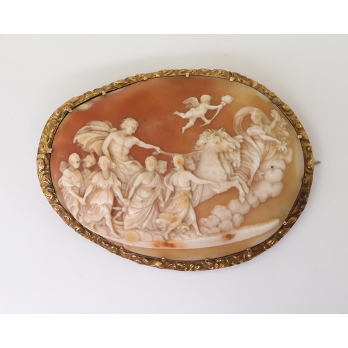 2715 - A LARGE CLASSICAL THEMED CAMEOthe well carved shell cameo depicting Apollo in his horse drawn chario... 