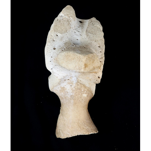 2954 - A 20TH CENTURY INUIT FIGURATIVE CARVINGBone, indistinctly inscribed on base, 33cm (13