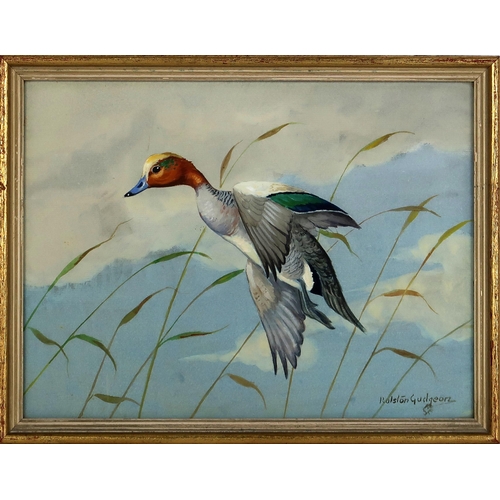 2971 - RALSTON GUDGEON RSW (SCOTTISH 1910-1984)MALLARD RISINGWatercolour and bodycolour, signed lower right... 