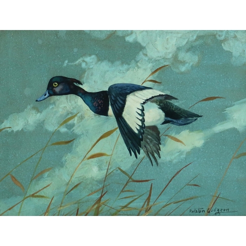 2971 - RALSTON GUDGEON RSW (SCOTTISH 1910-1984)MALLARD RISINGWatercolour and bodycolour, signed lower right... 