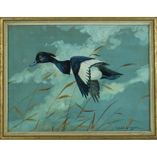 2971 - RALSTON GUDGEON RSW (SCOTTISH 1910-1984)MALLARD RISINGWatercolour and bodycolour, signed lower right... 