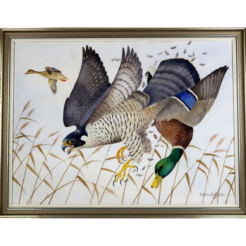 2973 - RALSTON GUDGEON RSW (SCOTTISH 1910-1984) PEREGRINE FALCON AND MALLARDWatercolour and bodycolour, sig... 