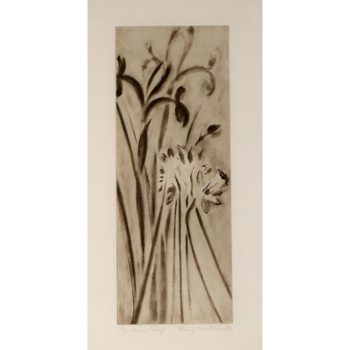 2986 - RORY MCEWEN (SCOTTISH 1932-1982)IRIS AND DAFFODILAquatint, signed in pencil, dated 78 and inscribed ... 