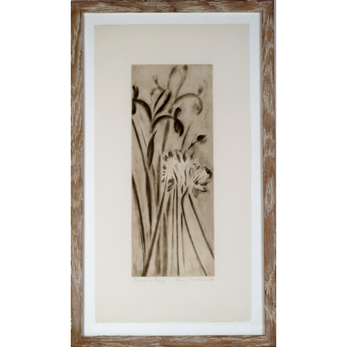 2986 - RORY MCEWEN (SCOTTISH 1932-1982)IRIS AND DAFFODILAquatint, signed in pencil, dated 78 and inscribed ... 