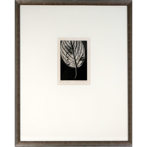 2987 - RORY MCEWEN (SCOTTISH 1932-1982)LEAFAquatint, signed in pencil, dated 79 and inscribed Printer's Pro... 