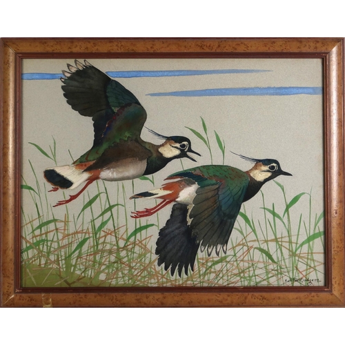 2999 - RALSTON GUDGEON RSW (SCOTTISH 1910-1984)LAPWINGS HEADING UPWINDWatercolour and bodycolour on grey pa... 