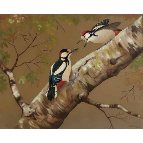 3000 - RALSTON GUDGEON RSW (SCOTTISH 1910-1984)WOODPECKERSWatercolour on brown paper, signed lower right, 4... 