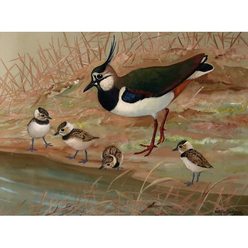 2992 - RALSTON GUDGEON RSW (SCOTTISH 1910-1984)LAPWINGS BY WATERWatercolour, signed lower right, 37 x 50cm ... 