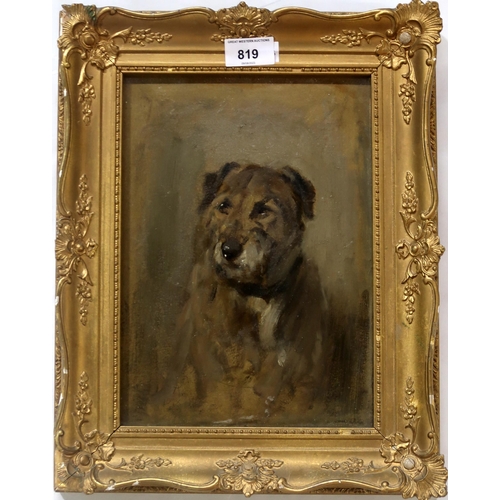 819 - SCOTTISH  SCHOOL PORTRAIT OF A DOGOil on board, indistinctly signed,AP, lower left, 27.5 x 20cm... 