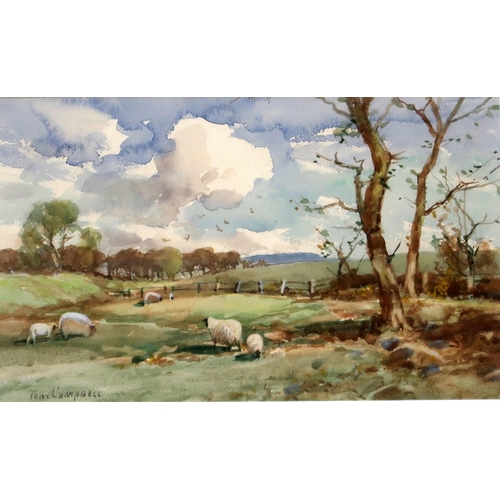 840 - TOM CAMPBELL (SCOTTISH 1865-1943)GRAZING SHEEPSWatercolour, signed lower left, 12 x 21cmTogether wit... 