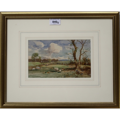 840 - TOM CAMPBELL (SCOTTISH 1865-1943)GRAZING SHEEPSWatercolour, signed lower left, 12 x 21cmTogether wit... 