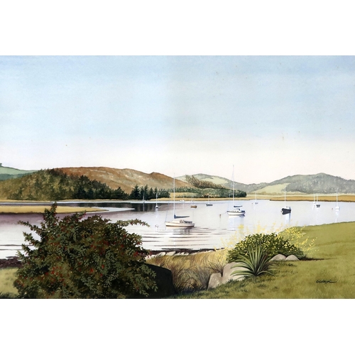 902 - FRANK COLCLOUGH (SCOTTISH b.1975) Moorings, Kippford, watercolour, signed lower right, 50 x 72cm... 