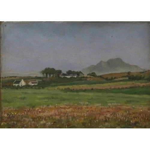 907 - SCOTTISH SCHOOL Landscape, oil on board, 22 x 29cm