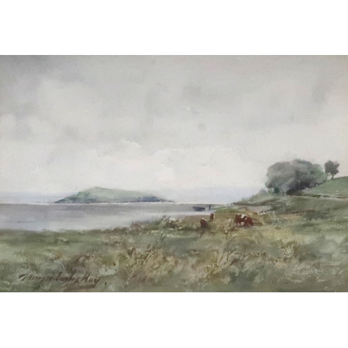 920 - THOMAS MARJORIBANKS HAY Cattle grazing, signed, watercolour, 17 x 24cm 