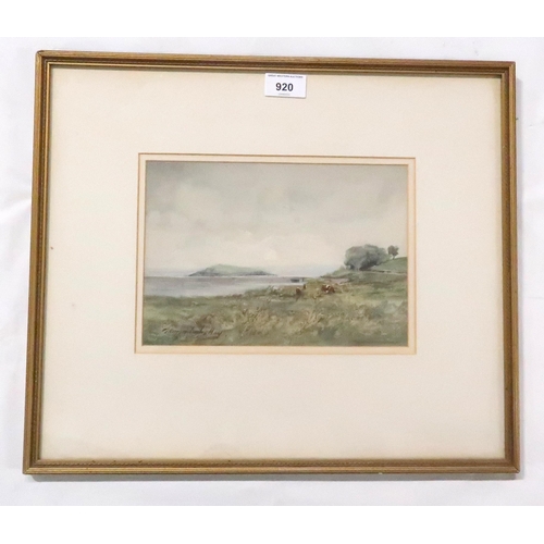 920 - THOMAS MARJORIBANKS HAY Cattle grazing, signed, watercolour, 17 x 24cm 