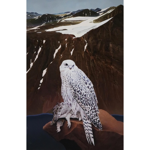 3072 - PETER GOODFELLOW (BRITISH 1950-2022)GYR FALCONOil on gesso panel, 99 x 65cm (39 x 25.5